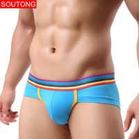 Wholesale Mens Underwear ethika Sexy panties charm underpants mens Briefs knickers Rainbow Low Rise Modal Briefs Pack Cotton