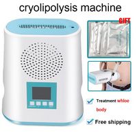 Wholesale portable MINI Cryolipolysis Fat Freezing Slimming Machine Vacuum weight loss cryotherapy cryo fat freeze machine home use