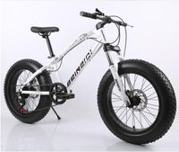 bike inner tube kmart