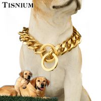 Wholesale Tisnium mm Dog Collar Pet Chain Choker Gold Color Sturdy Stainless Steel Pet Training Rope Slide Adjustment Size