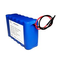 Wholesale 24V Ah Ah Ah Ah S2P Li ion Battery Cell pack for Artificial Intelligence Robot