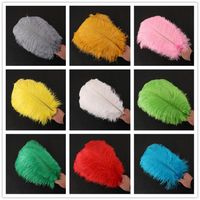 ostrich feathers wholesale canada