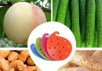 Wholesale Dining Practical Fruit Vegetable Brushes Eco Friendly Fruit Vegetable Tools for Cooking PP Material