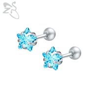 Wholesale Stud mm Star Earrings Stainless Steel CZ Cubic Zircon Ear Studs Shiny Stone Pentagon Crystal Jewellery For Women Childern