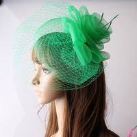 Wholesale Stingy Brim Hats Ladies Elegant Feather Flowers Women Hair Accessories Fancy Fascinators For Wedding Bridal With Veil And Races MYQ045