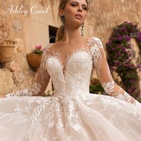 Wholesale Ashley Carol Sexy V neck Appliques Tulle Wedding Dress Illusion Backless Long Sleeve Princess Boho Bride Lace Wedding Gowns T200525