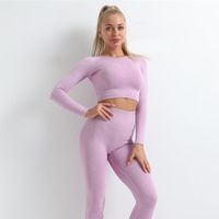 Wholesale Yoga Outfits Seamless Sports Bra Set Black Leggings High Waist Women Gym Clothing Long Sleeve Workout Outfit Fitness Running Tracksuit1