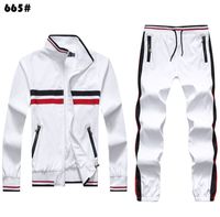 Wholesale 20 Men sportswear Sportswear Polo Sweatshirts Autumn Winter Jogger Sporting Suit Mens Sweat Suits Tracksuits Set Plus Size M XL