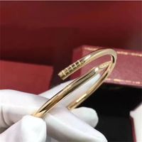 Wholesale Love Nail Bracelet charm bangle for men women fashion stainless steel jewerly designer custom made cuff Personalized creative screw bracelets silver gold bangles