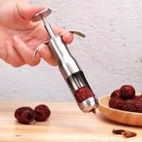 Wholesale 304 Strainless Steel Red Dates Jujube Cherry Tool Pitter Olive and Cherry Pitting Fruit Corer Core Remover GWA11473