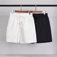 Wholesale 2022 fashion beach pants men sports casual pantss designer trend loose quick drying pants colors