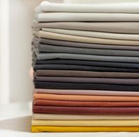 Wholesale 2021 FZ110 Autumn and Winter Italian Velvet Short Thickened Dutch Fleece Garment Textile Flannelette Fabric Sofa Solid Color Fabric