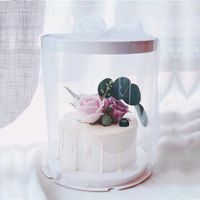 Wholesale Gift Wrap cm Plastic PET Clear Cylindrical White Tier Cake Box Flower Toy Dushproof Package1