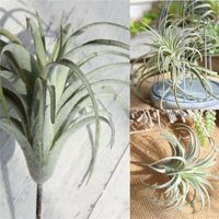 Wholesale Decorative Flowers Wreaths Artificial Pineapple Grass Air Plant Fake Floral As Home Garden Hanging Wall Decoration Green Perfect Wedding P