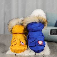 Wholesale Winter Coat Fasion Unisex Dog Clothes Cat Vest Sweater Designers Cloth Pet Supply Clothing Shirts For Puppy Wool Collar Coat D2112243Z