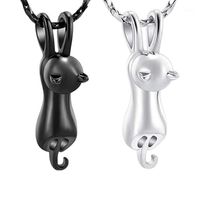 Wholesale Pendant Necklaces Stainless Steel Pet Cremation Jewelry For Ashes Memorial Ash Keepsake Cat Urn Pendants Animal Necklace1