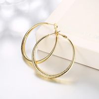 Wholesale Hoop Huggie Gold Plating Earrings For Women Trendy Party Accessories Gold Rose Gold Silver Color Big Earrigs Factory Direct Price