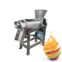 Wholesale LZ Hot Sale Stainless Steel Spiral Screw Cold Press Vegetable Juicer mango juicer production line
