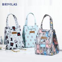 Wholesale Brivilas cooler lunch bag fashion ctue cat multicolor bags women waterpr hand pack thermal breakfast box portable picnic travel