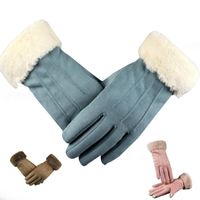 Wholesale Five Fingers Gloves Winter Suede Women Contact Sn Leather Glove Female Long Finger Autumn Mittens Fashion Warm Velvet Driving