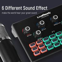 Wholesale Sound Cards Professional External Card For Computer Audio Interface DJ Mixer Phone Live Voice Changer Bm Microphone
