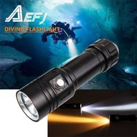 Wholesale Super bright Diving Flashlight L2 LED IPX8 highest waterproof rating Professional diving light Powered by or battery