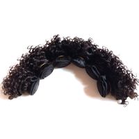 Wholesale Indian Malaysian Hair extensions Kinky Curly sexy Summer short bob type inch Brazilian remy weft g pc g