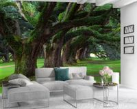 Wholesale Landscape d Wallpaper Modern Mural d Wallpaper Tall Old Trees Covered with Moss d Wall Paper for Living Room Custom Photo
