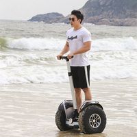Wholesale US Warehouse Daibot New Powerful Electric Scooter Two Wheels Double Driver V W Off Road Big Tire Adults Hoverboard