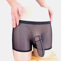 Wholesale The Hot Sexy Mens Transparent Mesh Lingerie Boxer Penis Cock Underwear with Elephant Bulge Black White Color For Man Gay Y200115