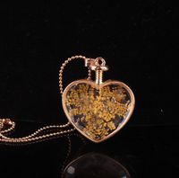 Wholesale Flower necklace heart pendants aromatherapy pendant necklaces jewelry dry flowers perfume vial bottle pendants necklace