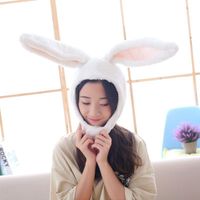 Wholesale Beanie Skull Caps Girls Plush Ears Hat Beanies Ear Headdress Gifts For Women Pographic Tools Selfie Funny Party