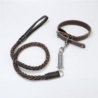 Wholesale Dog Cowhide Collars Medium And Large Dogs Traction Rope Adjustable Eight strand Spring Dog Rope Collar S M L