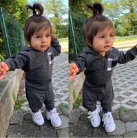 Wholesale Kids Tracksuit Baby Boys Girls Autumn Winter Long Sleeves Hooded Hoodie Sweater Pants Leggings Two Pieces Oufits Sports Suit E121604