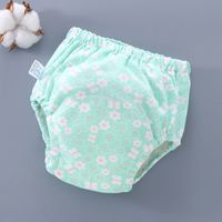 Wholesale 23 Colors Baby Diaper Cartoon Print Toddler Training Pants Layers Cotton Changing Nappy Washable Cloth Diaper Panties Reusable B3