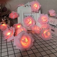 Wholesale LED Coloured Lights Rose Flower Supplies Light Lighting Tools Strings Woman Man Hang Lamp Home Fashion Accesories Valentines Day EED4210