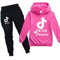 Wholesale Tiktok Princess Girls Tracksuit Teen Kids Hooded Sweatshirt and Pants Jogger Clothing Sets Boys Sports Clothing