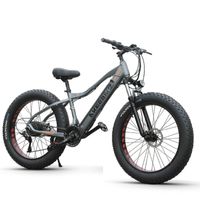 Wholesale Electric Mountain Bicycle V W Two Wheels Electric Bicycles Inch Fat Ebike Snow Tire Electric Beach Snow Bike Adult
