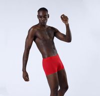 Wholesale Mens underwear high quality Underpants modal invisible non slip ceramic functional liner series boxer briefs