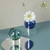 Wholesale Vases Glass Decorative Vase Color Round Hydroponic Home Decoration Accessories Living Room Mini Desktop Ornament Decor