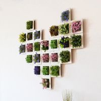 Wholesale Decorative Flowers Wreaths Artificial Flower Succulent Plant Hanging Wall Art Frame Living Room Home Decor1