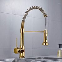 Wholesale Bathroom Sink Faucets Solid Brass Kitchen Faucet Gold Polished Spring Single Hand Modern And Cold Water Pull Out1