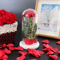 Wholesale Rose Lasts Forever with Led Lights in Glass Dome Valentine s Day Wedding Anniversary Birthday Gifts Party Decoration CCA12644