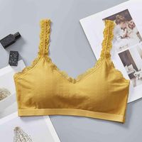 plus size sports bras nz