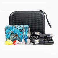 Wholesale Hot sale Portable enail Electric Dab Nail Pen Rig Wax PID TC Box With Ti Titanium Domeless Coil Heater E Quartz Nail kit silicone