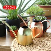 Wholesale Stainless Steel Watering Can Metal Watering Pot Home Office Garden Plants Kettle Gold Silver Rose Glod ml1
