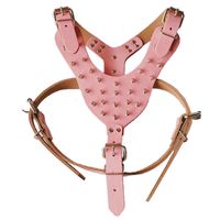 Wholesale NEW Collar Adjustable Spiked Studded Rivets PU Leather Dog Pet Harness Walking Collar Leash for Pitbull Mastiff