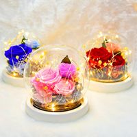 Wholesale Valentine Day gift eternal flower rose glass box creative gift symbol of health and longevity the preferred gift Mother s Day