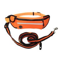 Wholesale Dog Collars Leashes SIXPENNY Pet Sports Reflective Waterproof Running Rope Multifunctional Traction Belt