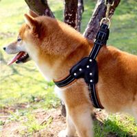 Wholesale Dog Collars Leashes S M L Nylon Heavy Duty Pet Harness Collar Padded Extra Big Large Medium Small Harnesses Vest Husky Dogs Supplies1